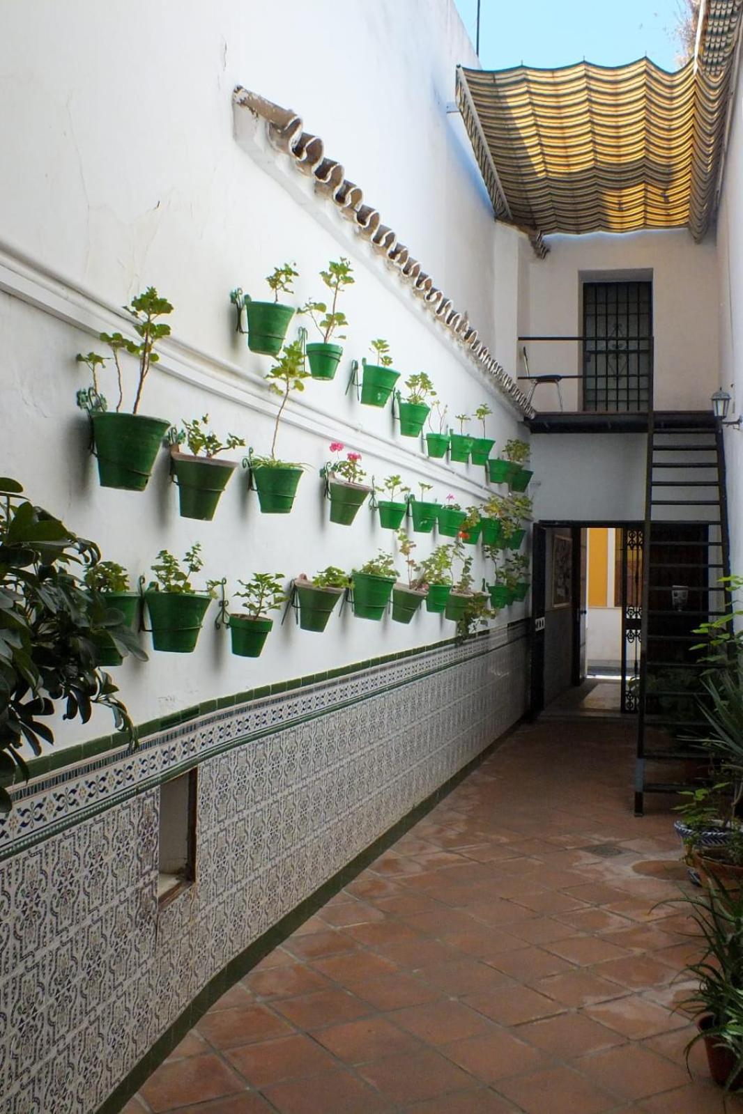 Hotel El Patio Cordobés Córdoba Exterior foto