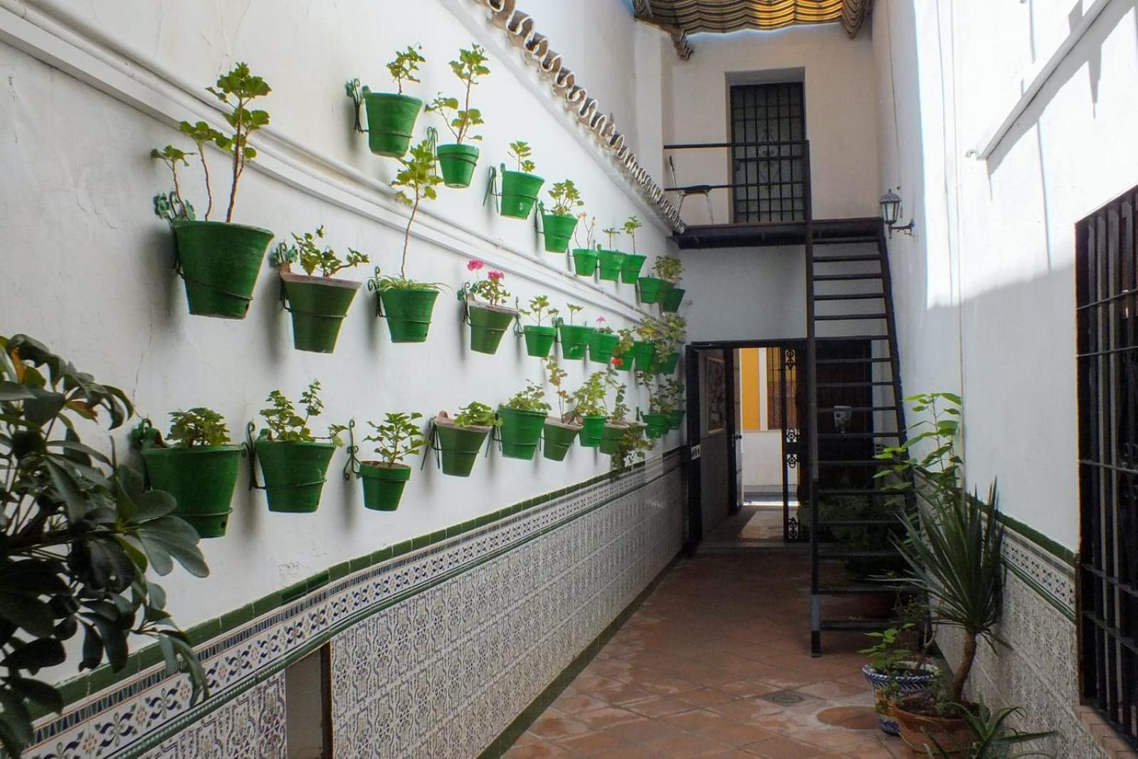 Hotel El Patio Cordobés Córdoba Exterior foto